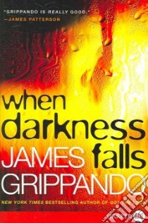 When Darkness Falls libro in lingua di Grippando James