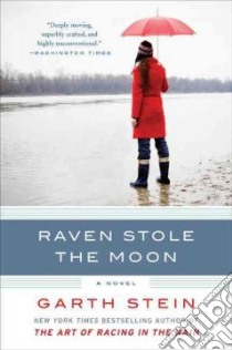 Raven Stole the Moon libro in lingua di Stein Garth