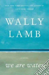 We Are Water libro in lingua di Lamb Wally