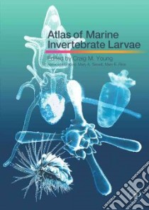 Atlas of Marine Invertebrate Larvae libro in lingua di Mary E Rice
