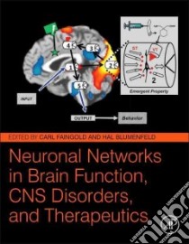 Neuronal Networks in Brain Function, CNS Disorders, and Therapeutics libro in lingua di Faingold Carl L. (EDT), Blumenfeld Hal (EDT)