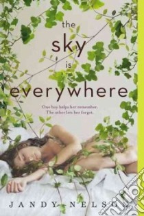 The Sky Is Everywhere libro in lingua di Nelson Jandy