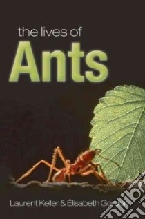 Lives of Ants libro in lingua di Laurent Kelle