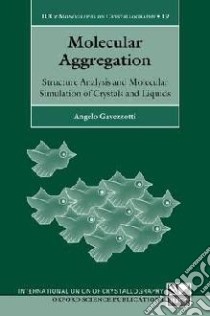 Molecular Aggregation libro in lingua di Angelo Gavezzotti