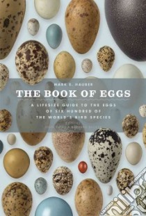 The Book of Eggs libro in lingua di Hauber Mark E., Bates John (EDT), Becker Barbara (EDT), Weinstein John (PHT)