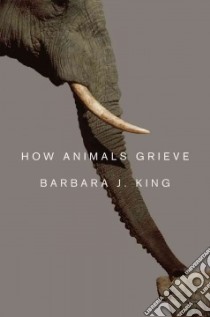 How Animals Grieve libro in lingua di King Barbara J.