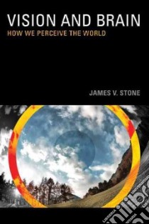 Vision and Brain libro in lingua di Stone James V.