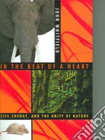 In the Beat of a Heart libro in lingua di Whitfield John