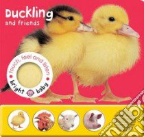 Duckling and Friends libro in lingua di Priddy Roger