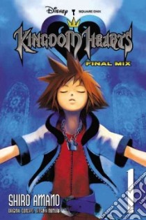 Kingdom Hearts 1 libro in lingua di Amano Shiro