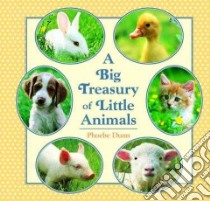 A Big Treasury of Little Animals libro in lingua di Dunn Phoebe, Dunn Phoebe (ILT)