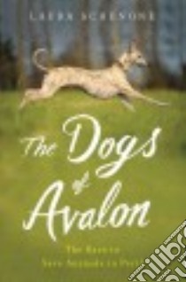 The Dogs of Avalon libro in lingua di Schenone Laura