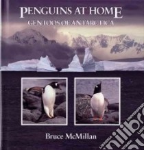 Penguins at Home libro in lingua di McMillan Bruce
