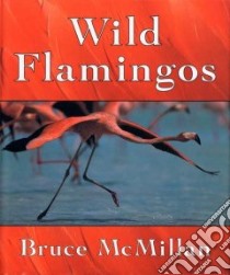 Wild Flamingos libro in lingua di McMillan Bruce