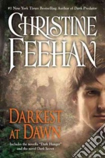 Darkest at Dawn libro in lingua di Feehan Christine