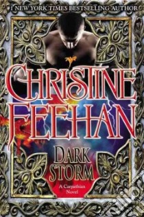 Dark Storm libro in lingua di Feehan Christine
