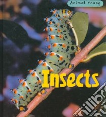 Insects libro in lingua di Rod Theodorou