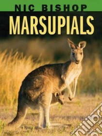 Marsupials libro in lingua di Bishop Nic