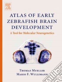 Atlas of Early Zebrafish Brain Development libro in lingua di Thomas Mueller