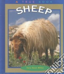 Sheep libro in lingua di Miller Sara Swan