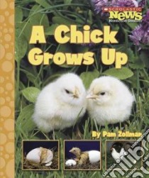 A Chick Grows Up libro in lingua di Zollman Pam