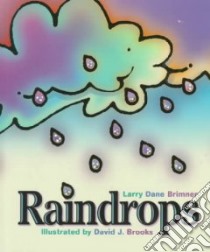 Raindrops libro in lingua di Brimner Larry Dane, Brooks David J. (ILT)