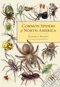 Common Spiders of North America libro in lingua di Bradley Richard A., Buchanan Steve (ILT)