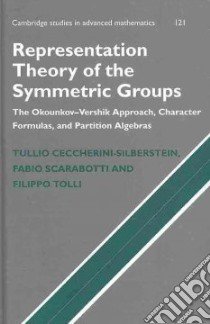 Representation Theory of the Symmetric Groups libro in lingua di Ceccherini-Silberstein Tullio, Scarabotti Fabio, Tolli Filippo