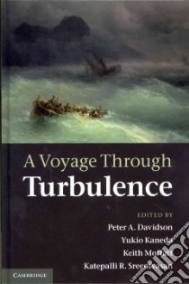 A Voyage Through Turbulence libro in lingua di Davidson Peter A. (EDT), Kaneda Yukio (EDT), Moffatt Keith (EDT), Sreenivasan Katepalli R. (EDT)