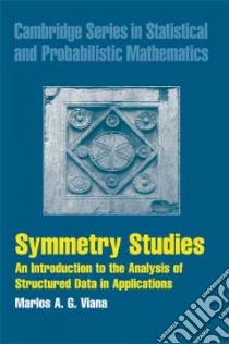 Symmetry Studies libro in lingua di Viana Marlos A. G.