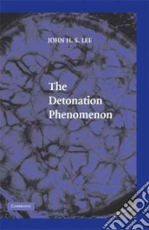The Detonation Phenomenon libro in lingua di Lee Johnn H. s.