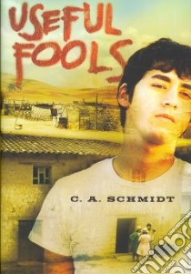 Useful Fools libro in lingua di Schmidt C. A.