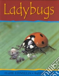 Ladybugs libro in lingua di Llewellyn Claire, Watts Barrie, Watts Barrie (ILT)