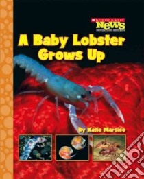 A Baby Lobster Grows Up libro in lingua di Marsico Katie