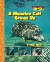 A Manatee Calf Grows Up libro in lingua di Marsico Katie