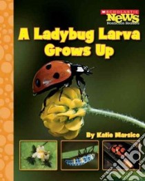 A Ladybug Larva Grows Up libro in lingua di Marsico Katie