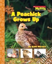 A Peachick Grows Up libro in lingua di Marsico Katie