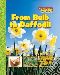 From Bulb to Daffodil libro in lingua di Weiss Ellen