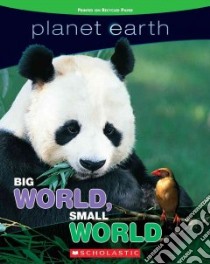 Big World, Small World libro in lingua di Hirschmann Kris