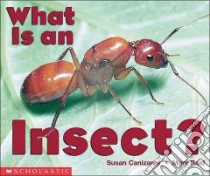 What Is an Insect libro in lingua di Canizares Susan, Reid Mary Carpenter