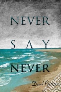 Never Say Never libro in lingua di David Petersen