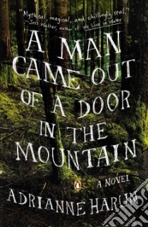 A Man Came Out of a Door in the Mountain libro in lingua di Harun Adrianne