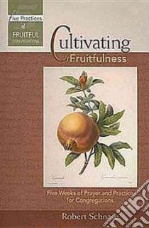 Cultivating Fruitfulness libro in lingua di Schnase Robert C.
