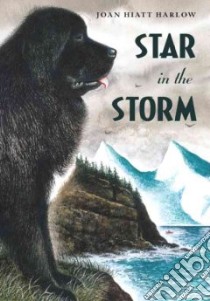 Star in the Storm libro in lingua di Harlow Joan Hiatt, Minor Wendell (ILT)
