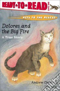 Dolores and the Big Fire libro in lingua di Clements Andrew, Beier Ellen (ILT)