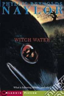 Witch Water libro in lingua di Naylor Phyllis Reynolds, McMillan Ken, Owens Gail (ILT)