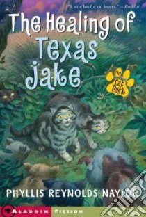 The Healing Of Texas Jake libro in lingua di Naylor Phyllis Reynolds, Daniel Alan (ILT)