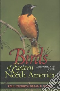 Birds of Eastern North America libro in lingua di Sterry Paul, Small Brian E.