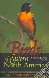 Birds of Eastern North America libro in lingua di Sterry Paul, Small Brian E.