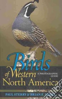 Birds of Western North America libro in lingua di Sterry Paul, Small Brian E.